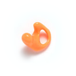 Ear Molds